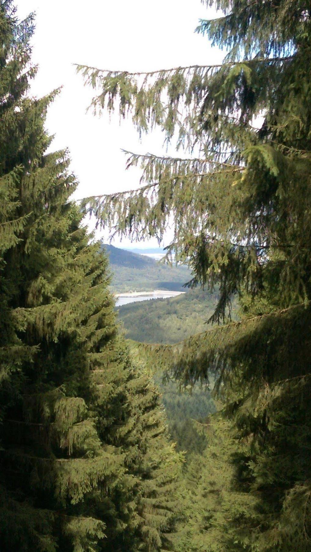 Hotel Berghof Am See Lautenthal Eksteriør bilde