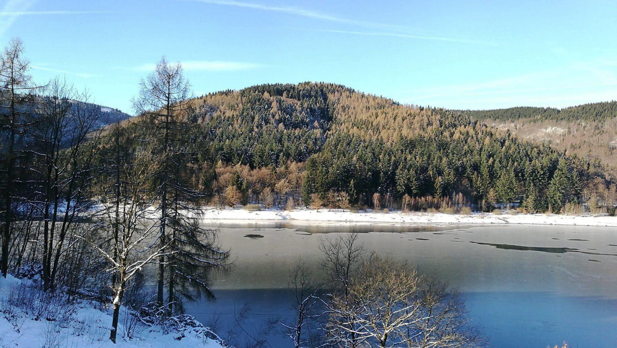 Hotel Berghof Am See Lautenthal Eksteriør bilde